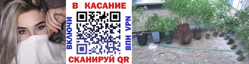 Где найти наркотики Купино APVP ГАШИШ Амфетамин Cocaine