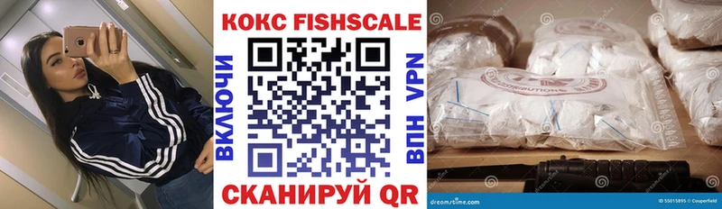 Cocaine Эквадор купить закладку Купино