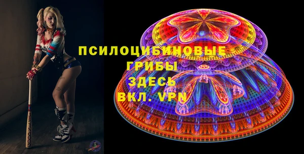 spice Бронницы