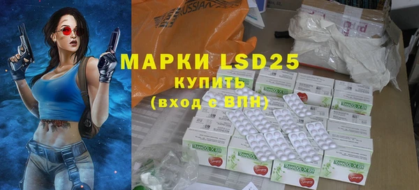 mdpv Богородицк