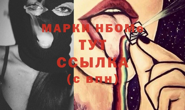 стаф Бородино