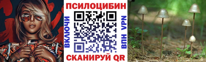 blacksprut как зайти Купино Псилоцибиновые грибы GOLDEN TEACHER